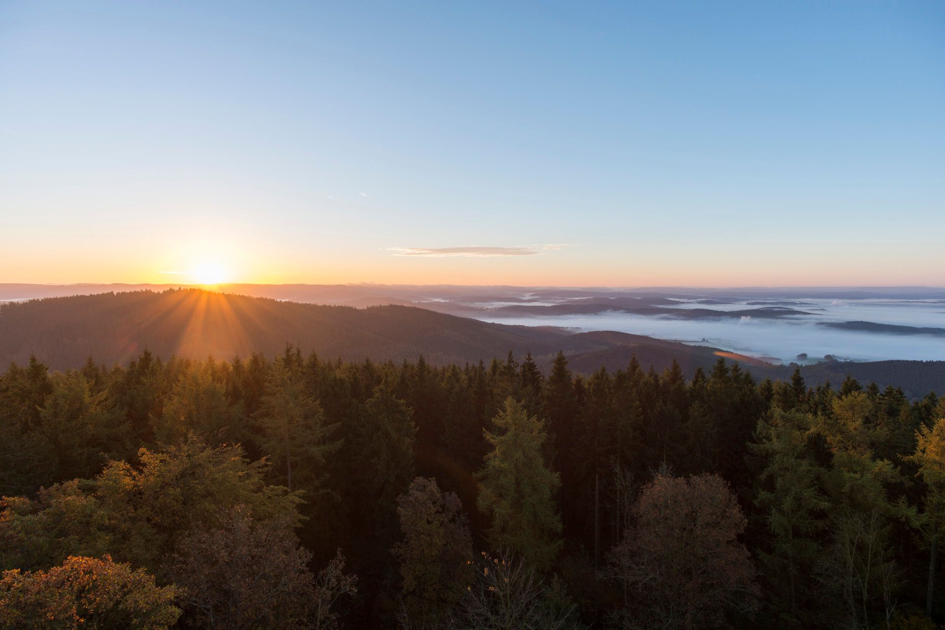 Wälder am Kindelsberg