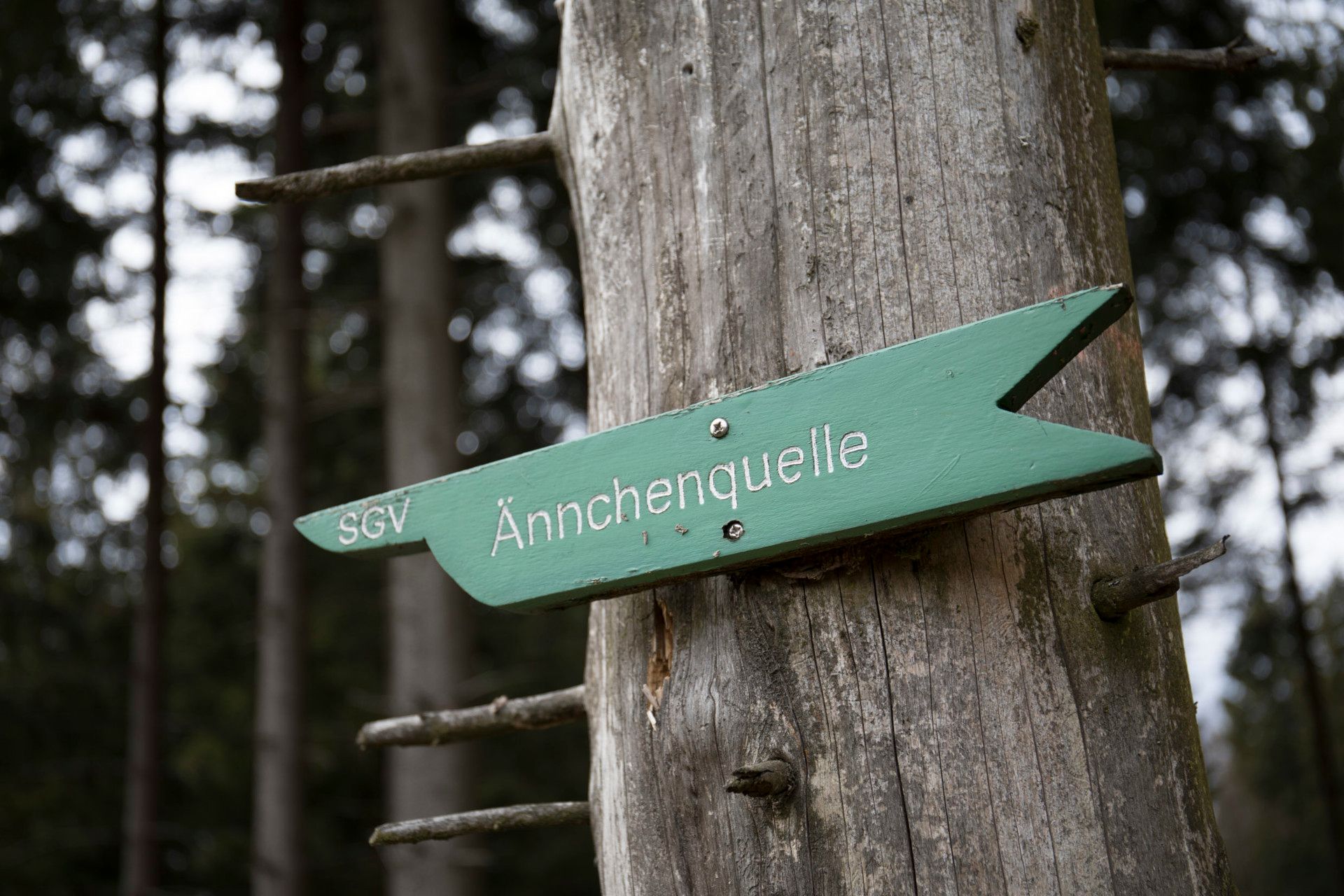 Schild zur Aencherquelle im Sauerland