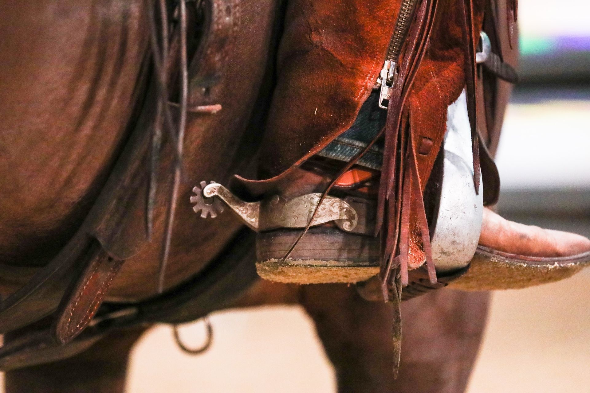 The Ranch Cutting Cup is a popular competition during the Equitana trade fair days