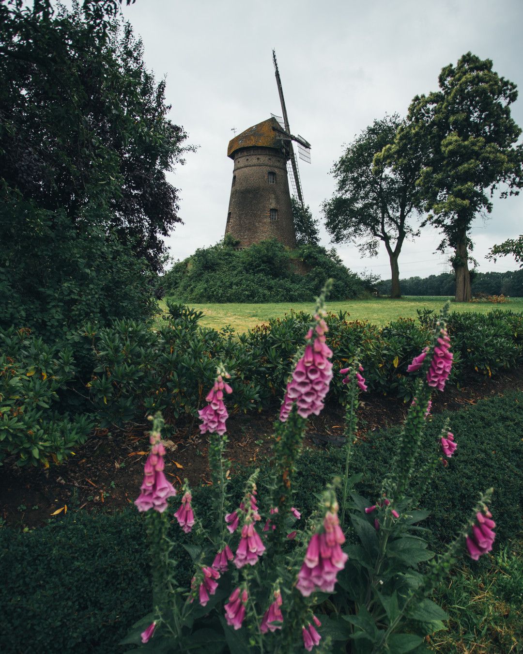 Dammer Mühle in Schermbeck