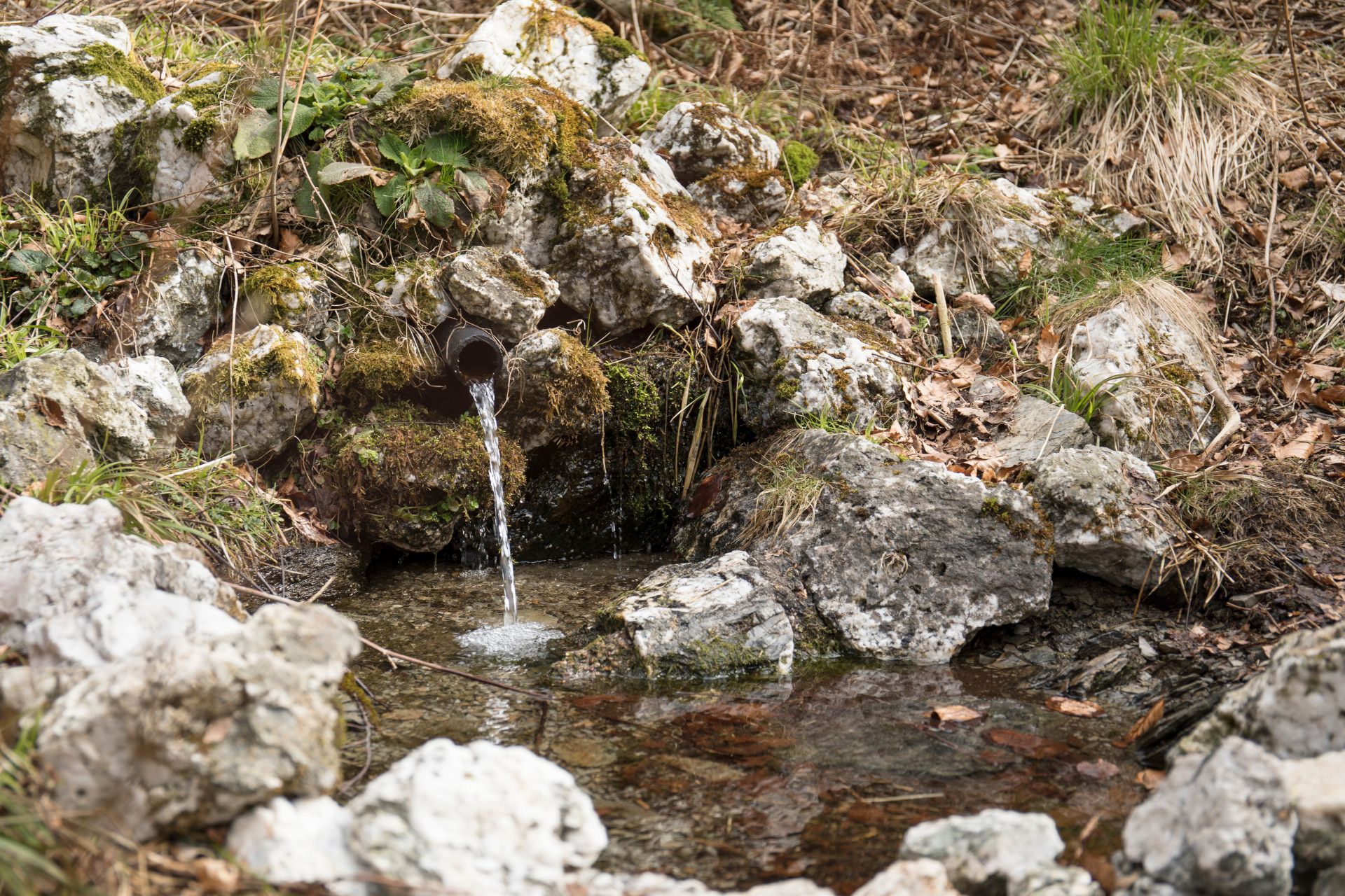 Ralph Sondermann, Tourismus NRW e.V., Quellen in Wald im Sauerland