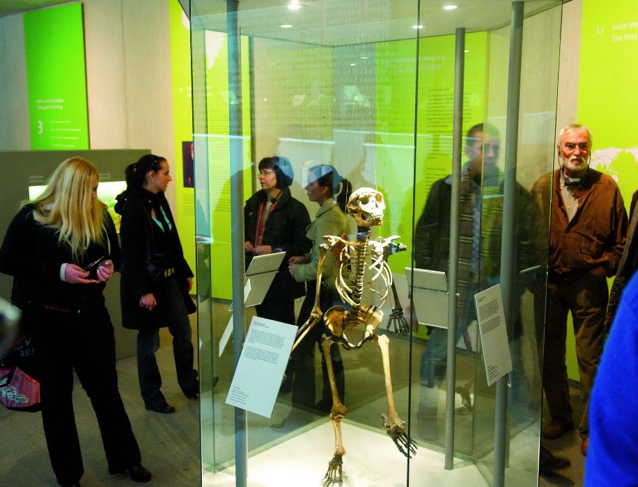 Skeletons and bones are also among the exhibits at the Neanderthal Museum