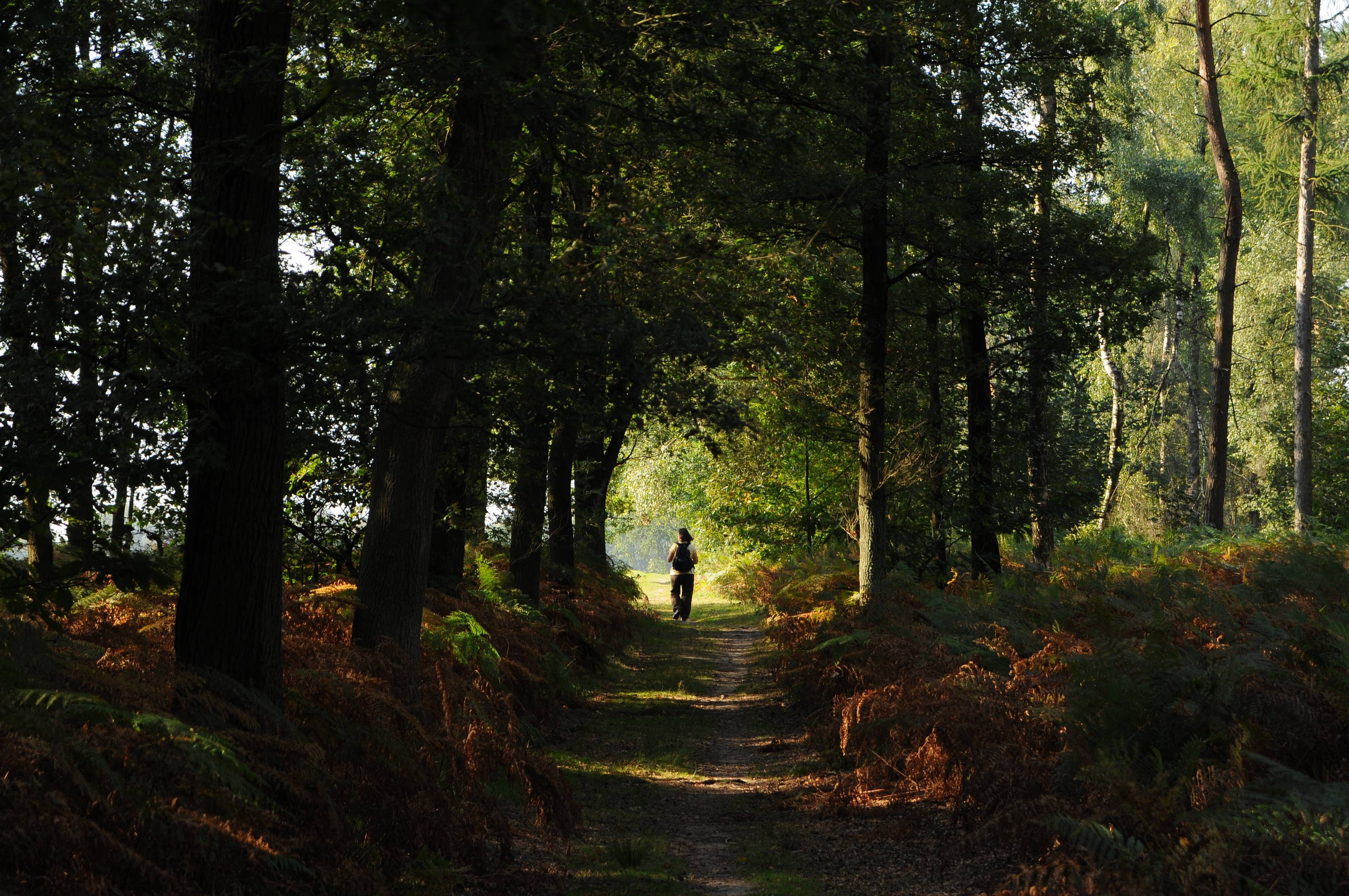 Hiking Schwalm-Nette Nature Park