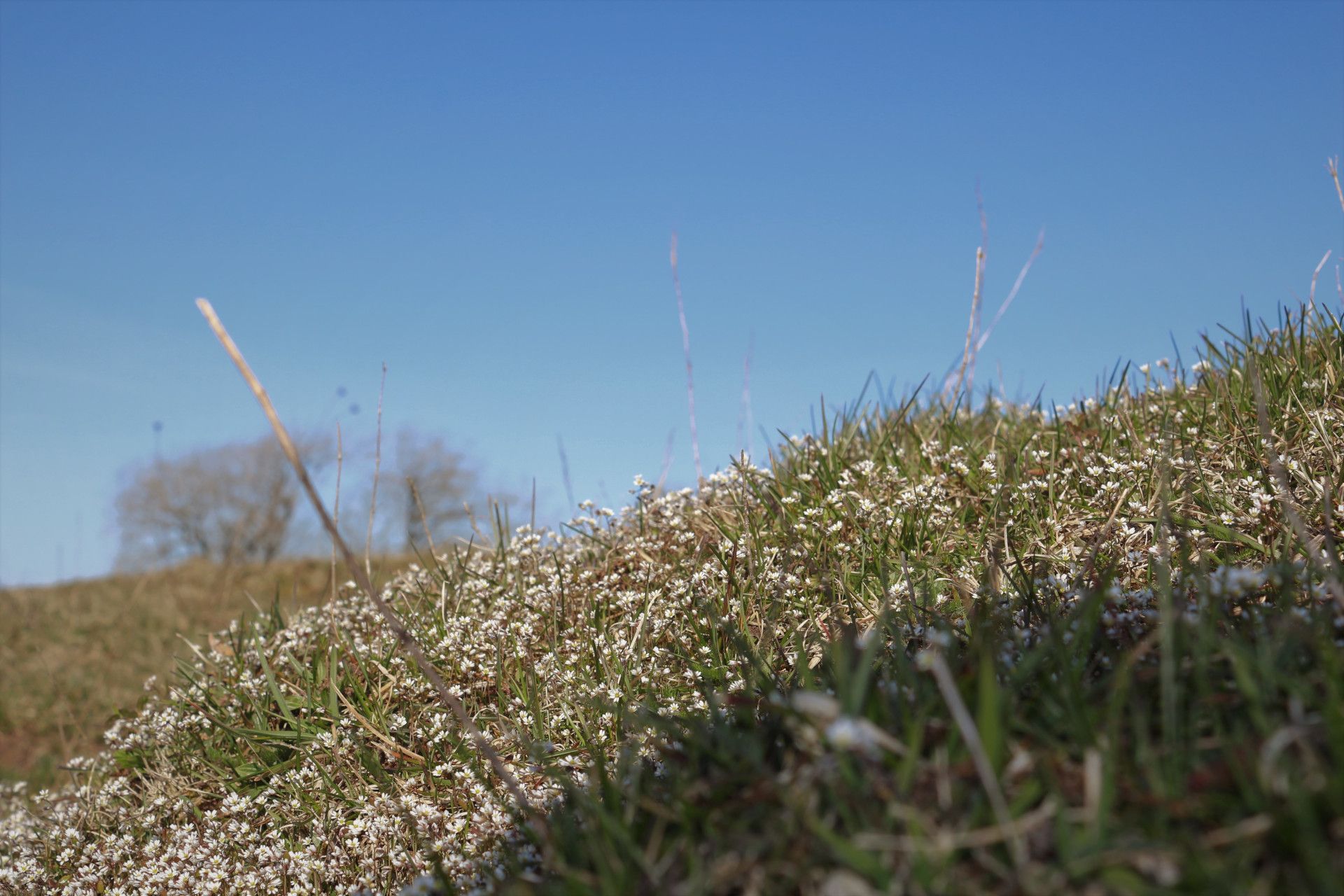 Eifel Toskana