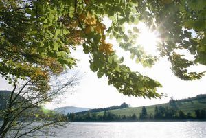 Diemelsee nature reserve