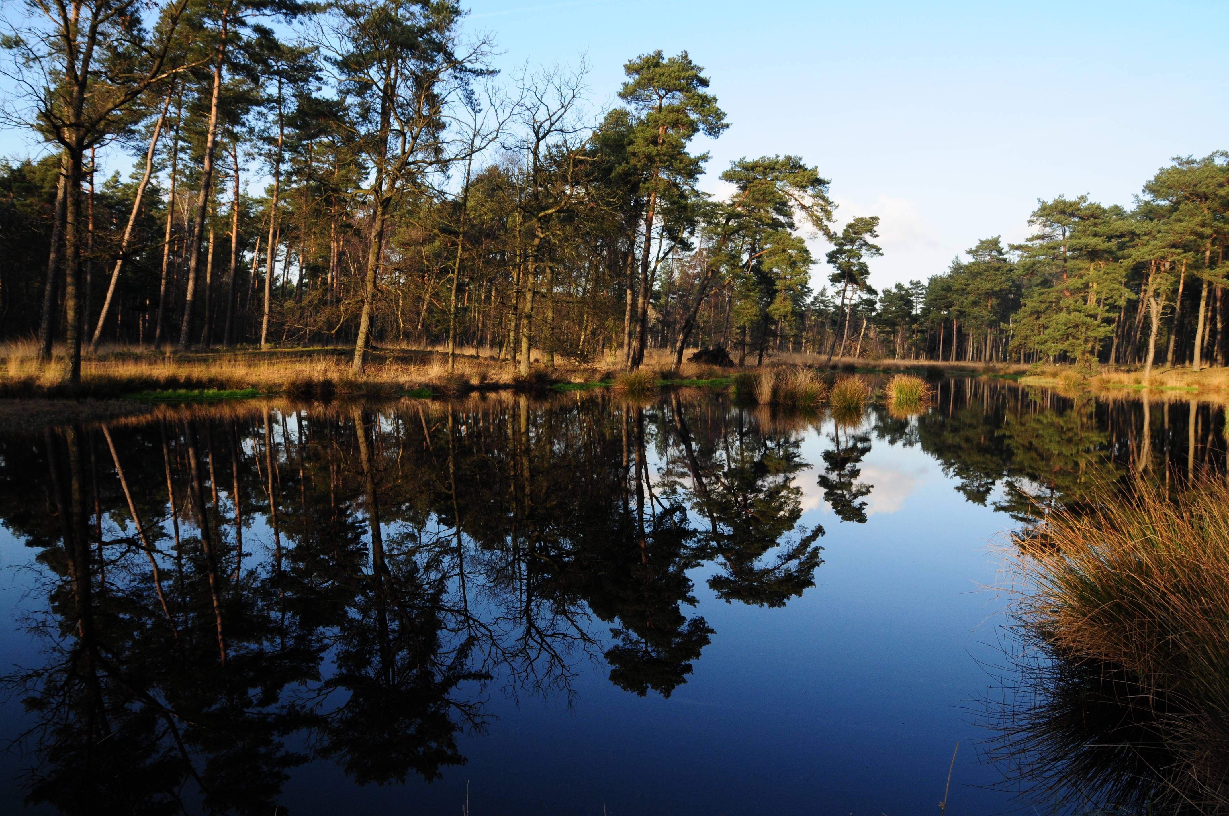 Schwalm-Nette Nature Park