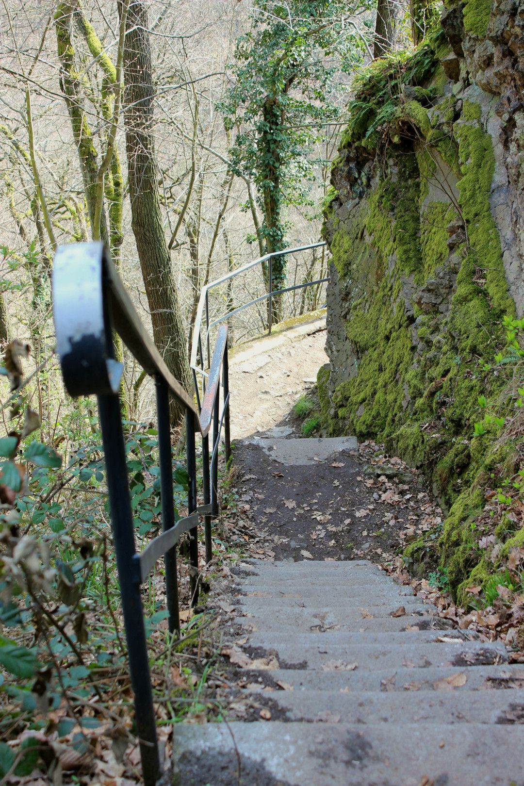 Beethovenwanderweg Treppe