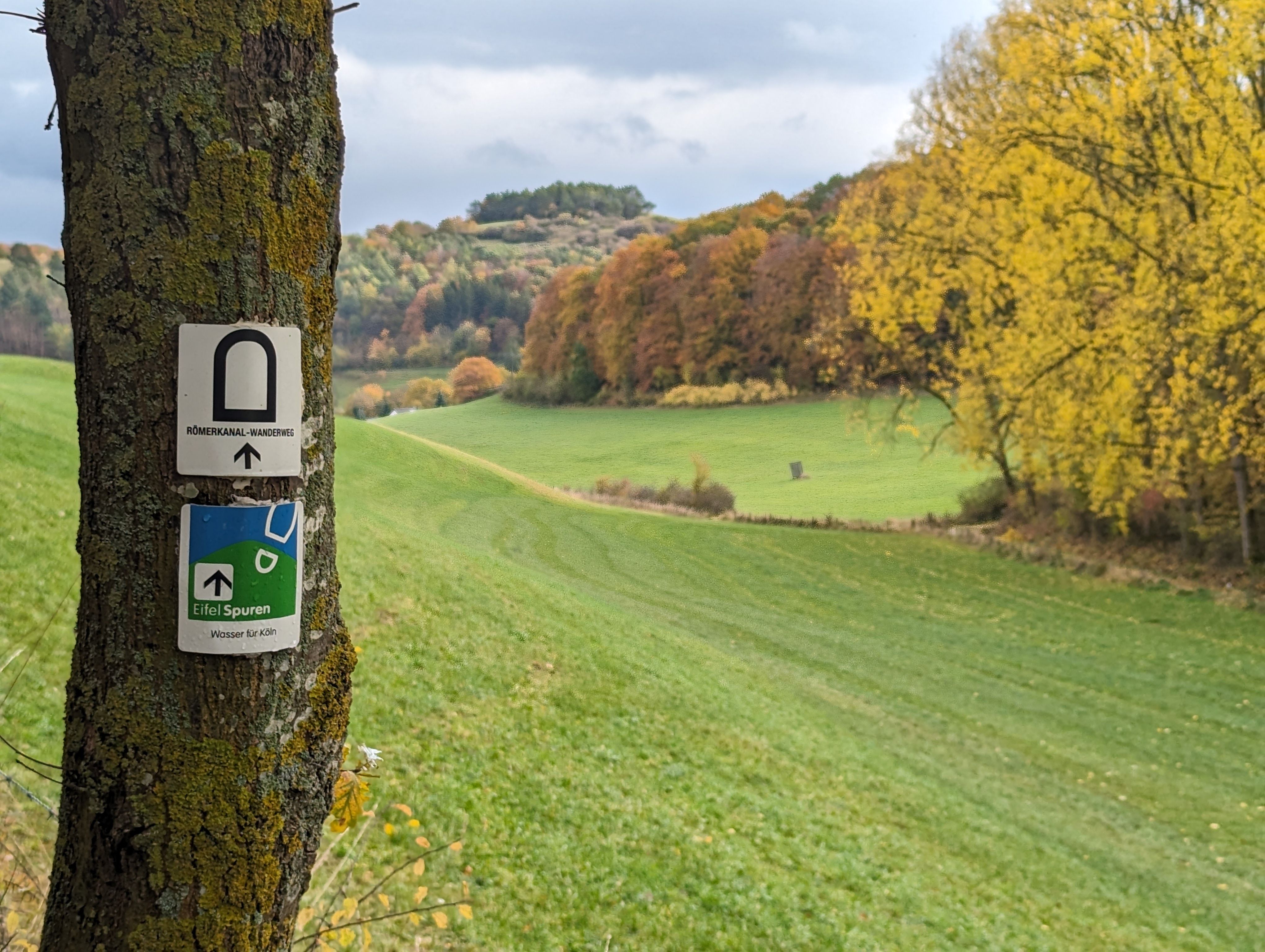 Signpost on tree for Roman Canal hiking trail