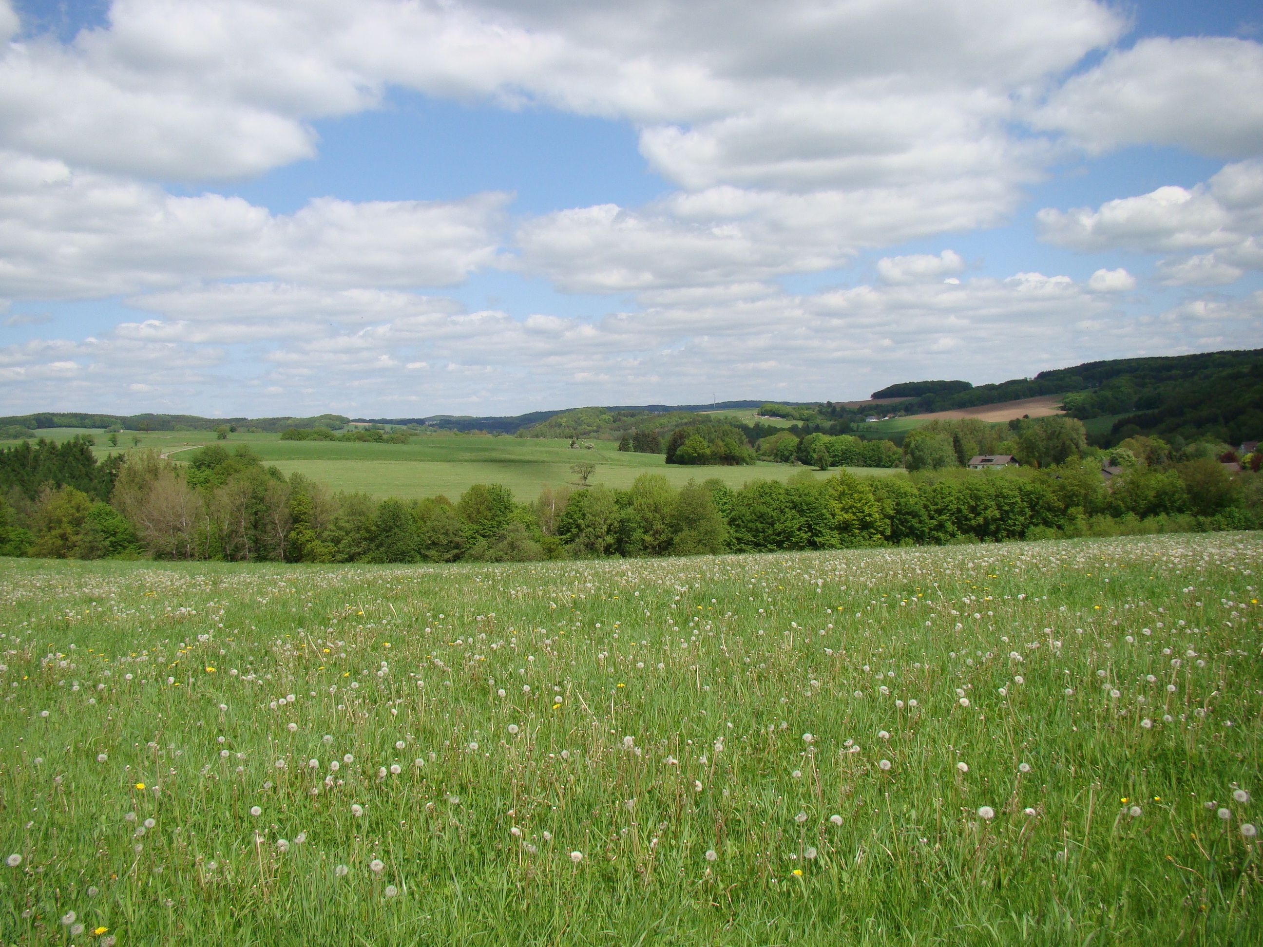 View near Berghausen