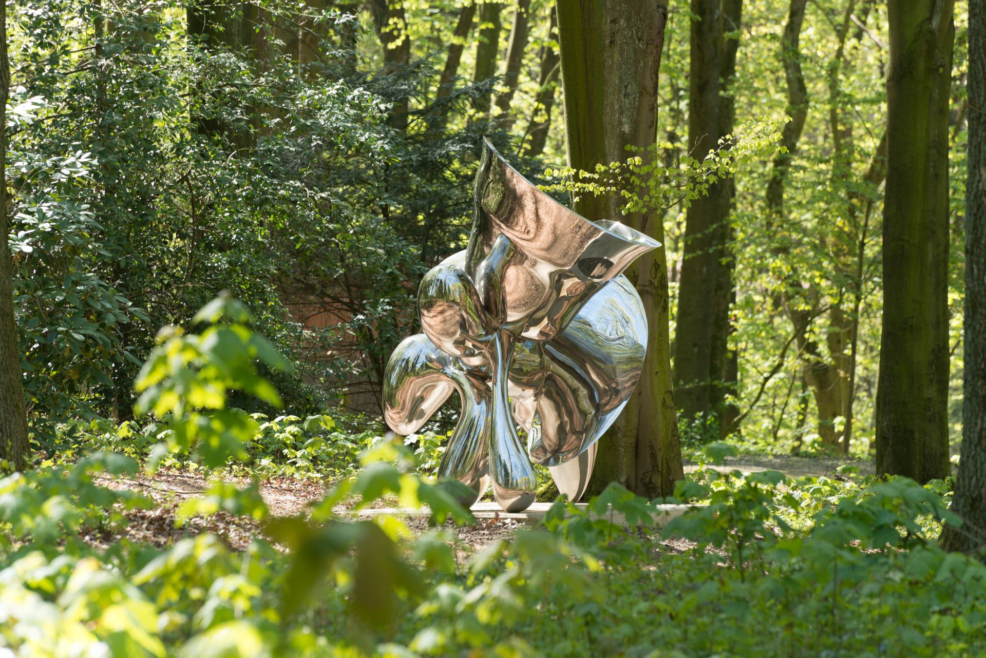 Tony Cragg, VG Bild-Kunst Bonn 2017, Foto: Michael Richter, Distant Cousin ist eine Skulptur des Bildhauers Tony Cragg, die der Künstler aus Edelstahlblechen herstellte