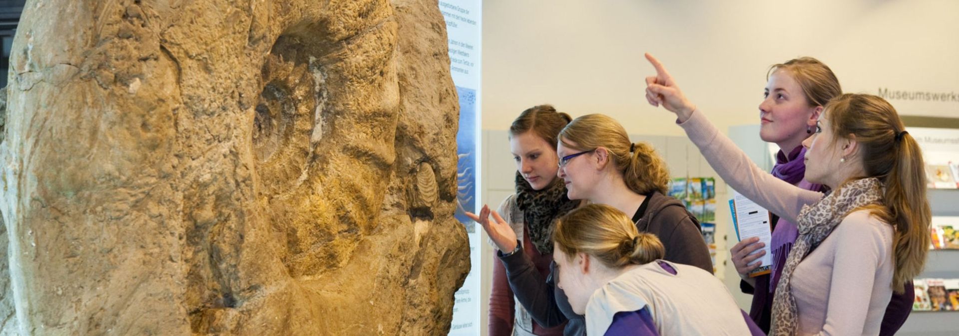 The giant ammonite is the first eye-catcher when guests enter the LWL Museum of Natural History