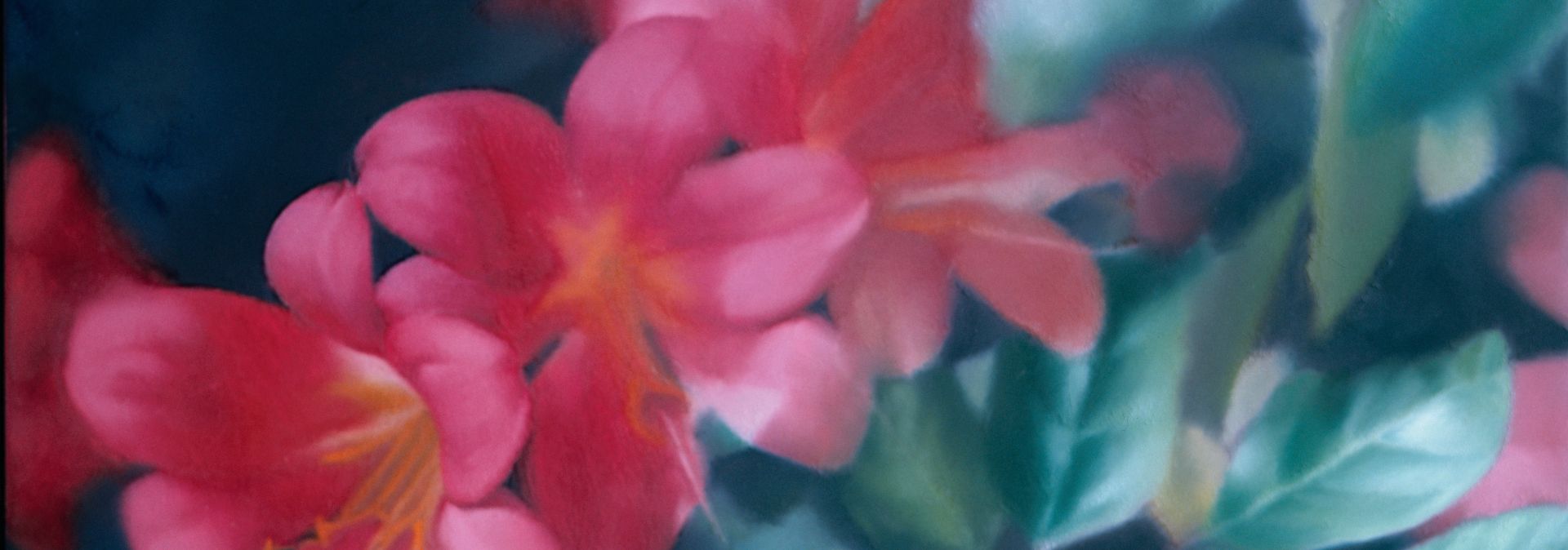 Gerhard Richter, Flowers, 1977, oil on canvas, 40 x 50 cm, private collection