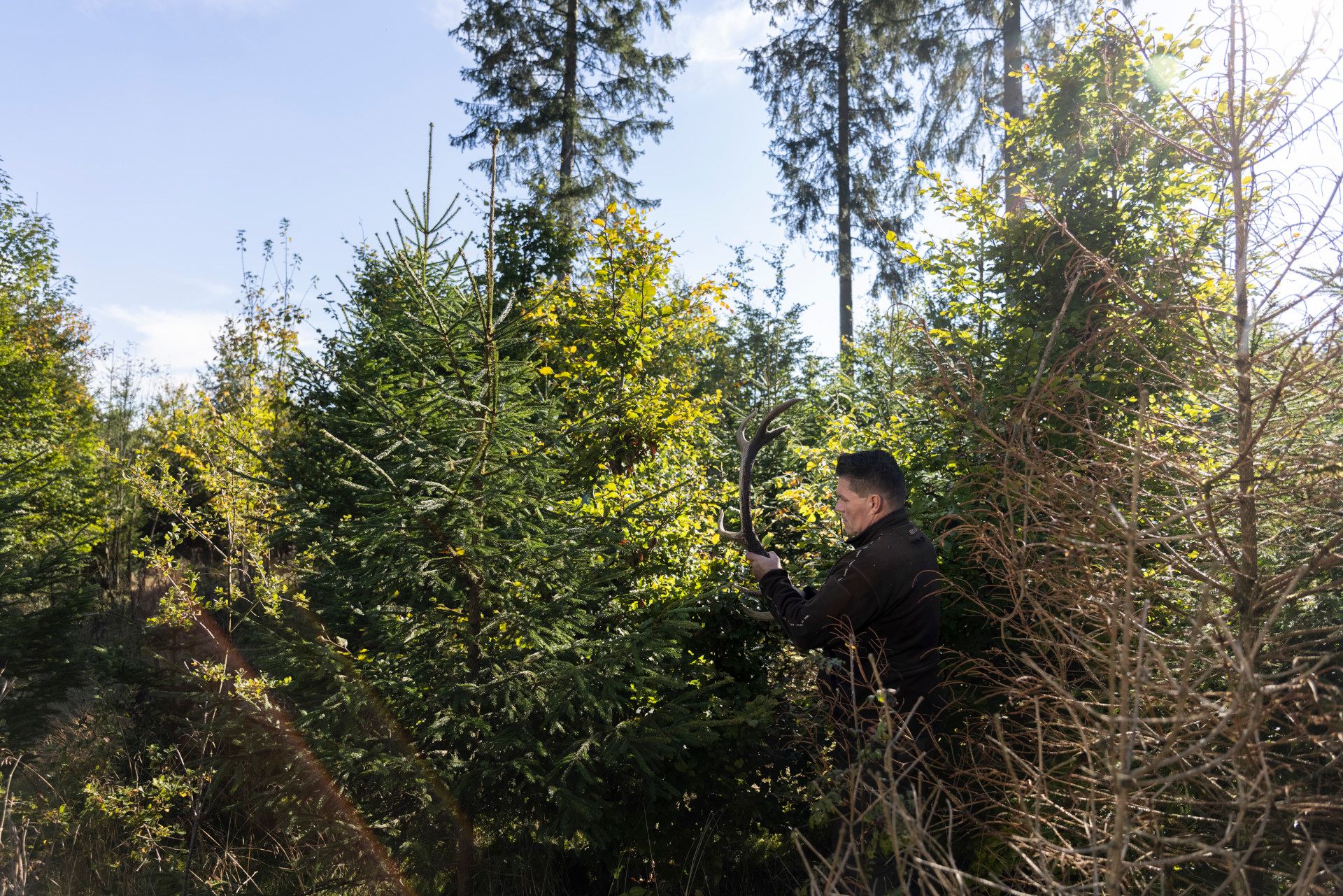 Wald und Gestrüpp, Siegen-Wittgenstein