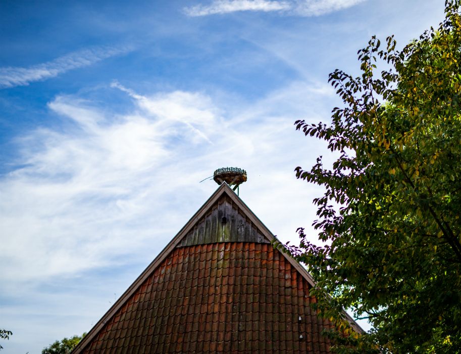 A stork's nest adorns the Westphalian Stork Museum in the half-timbered house at Windheim No. 2