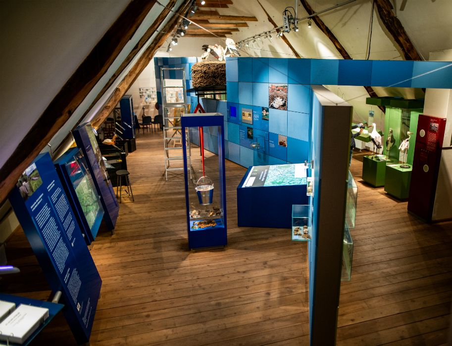 The exhibition about the stork is also located on the upper floor of the half-timbered jewel Windheim No. 2