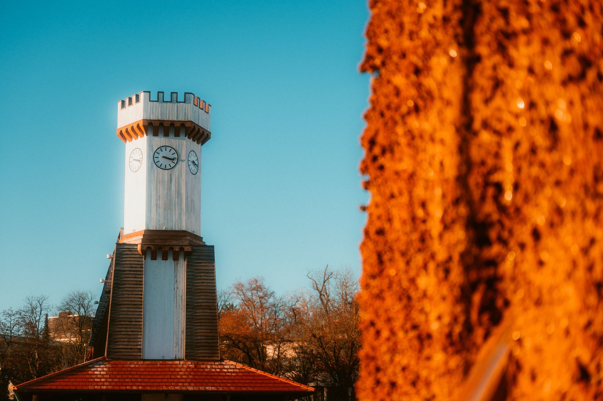 Schwarzdornwand Uhrenturm