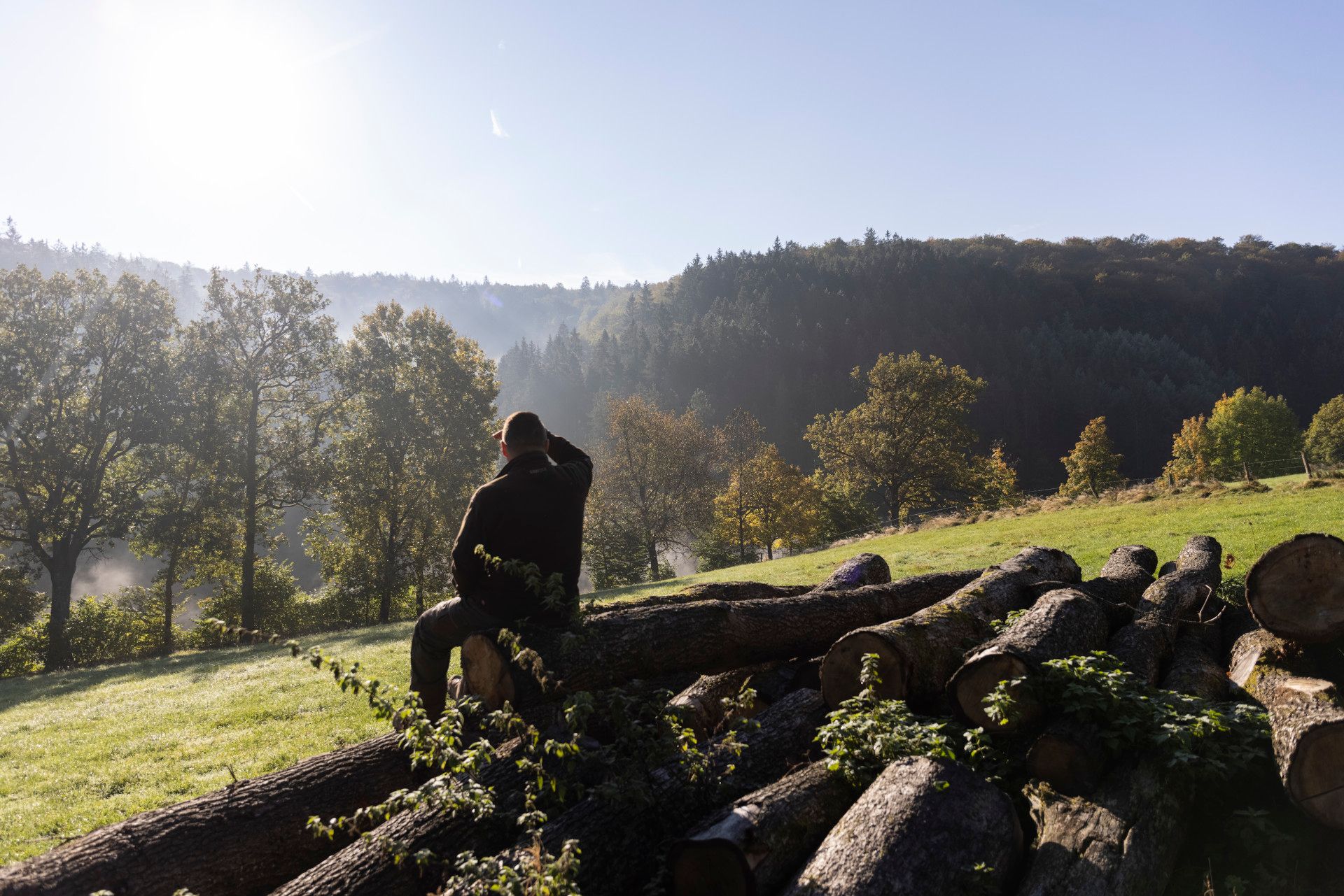 Tasso Wolzenberg auf Baumstamm, Siegen-Wittgenstein