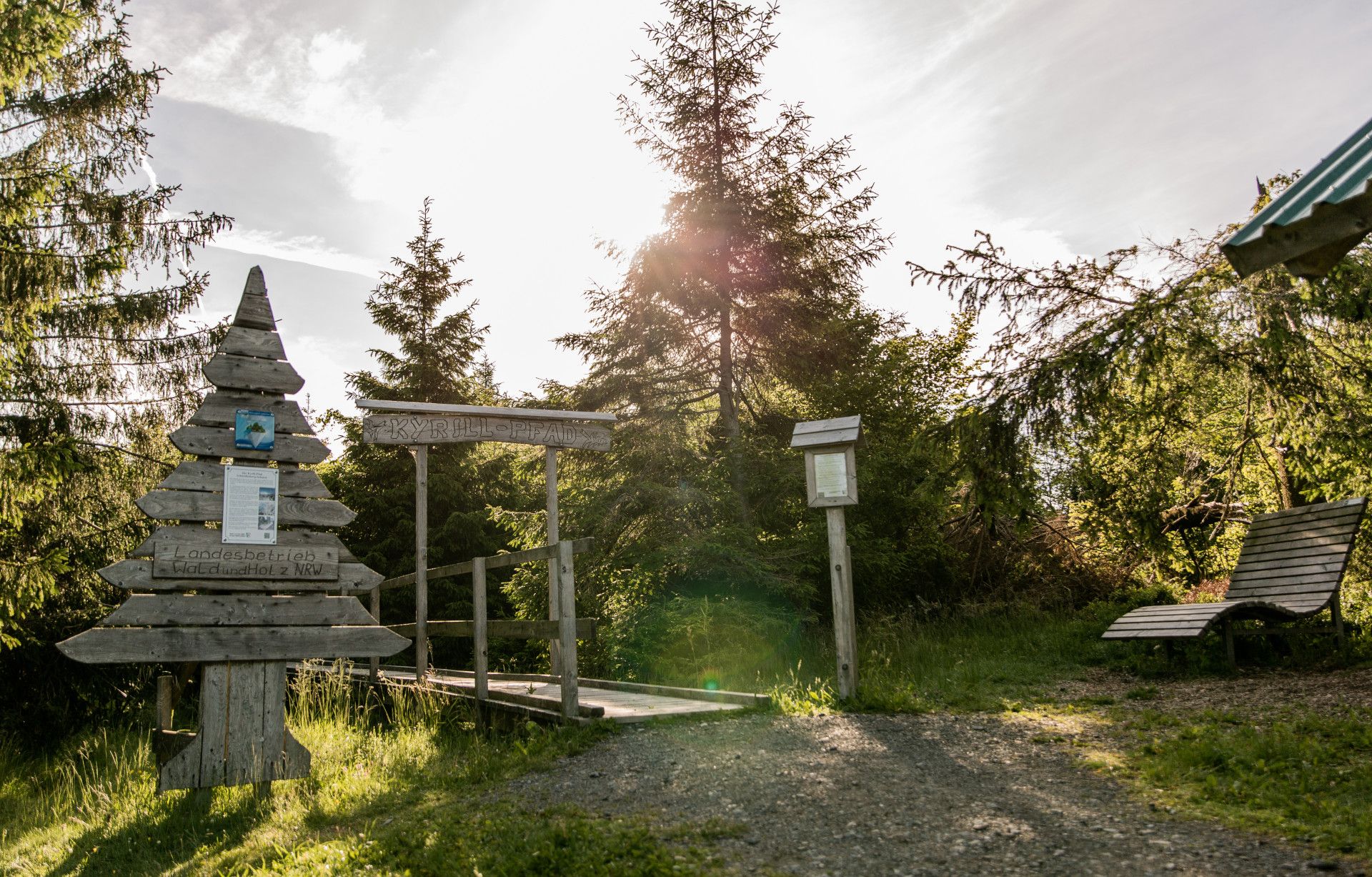 The Kyrill Trail leads over footbridges and stepladders past traces of hurricane Kyrill.