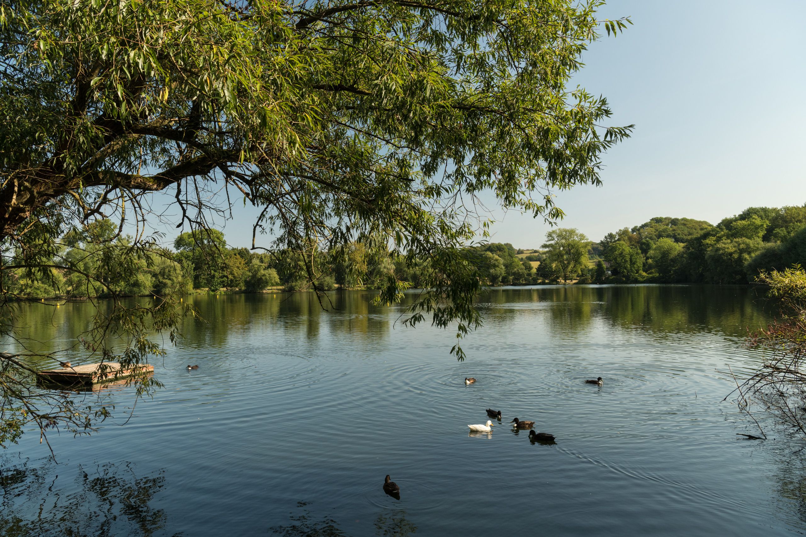 Abtskücher pond in the Abtsküche museum landscape in Heiligenhaus